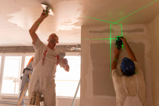 Best Fire-Damaged Drywall Repair  in Evansdale, IA